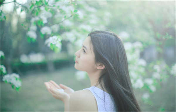 商洛验血查男女几周可以验(验血查男女结果图)